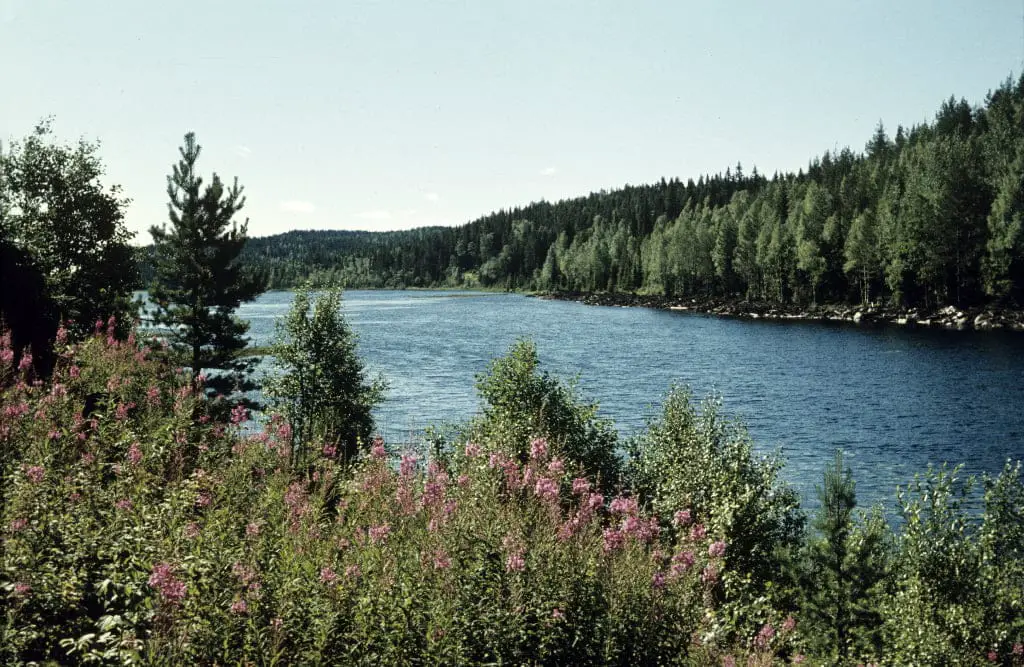 svensk sommar dalarna