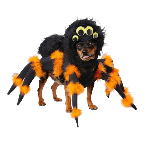 Spindel Hund Maskeraddräkt - Large