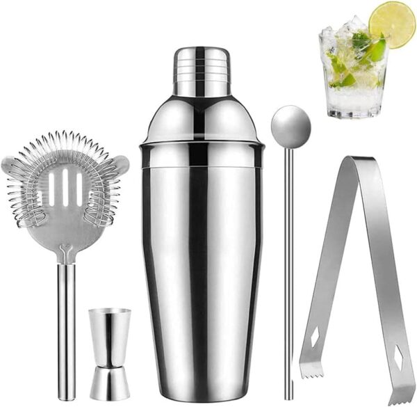 Cocktail shaker Set - Rostfritt stål Silver 5 dela