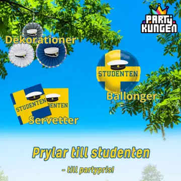 Partykungen studenten