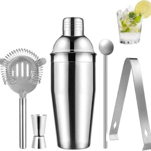 Cocktail shaker Set - Rostfritt stål Silver 5 dela